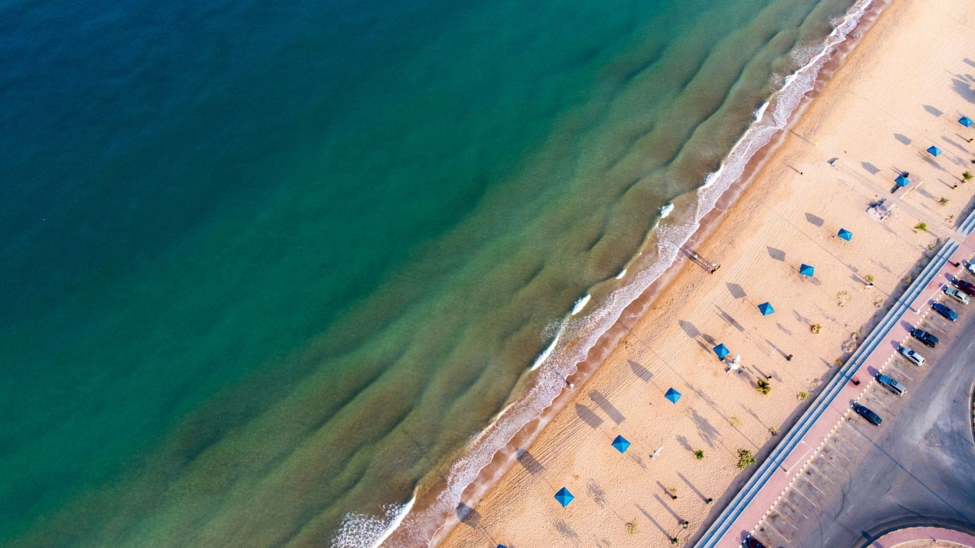 Flamingo Beach_Correct