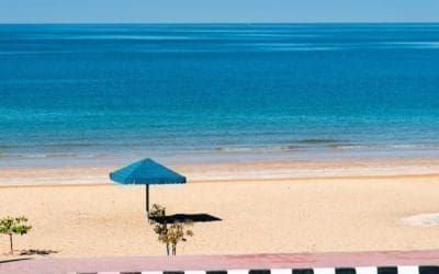 flamingo beach